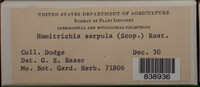 Image Associated With the Occurence